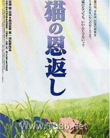 猫的报恩